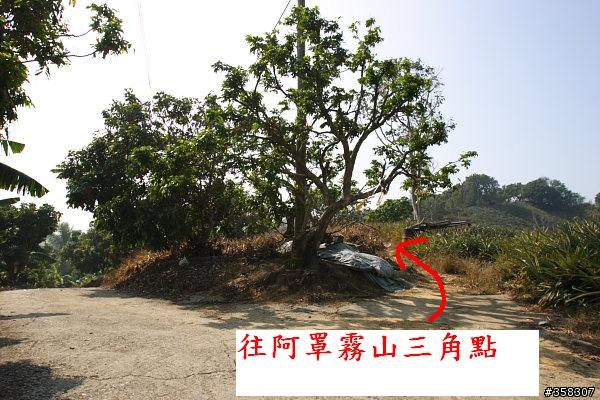 霧峰:小百岳~阿罩霧山