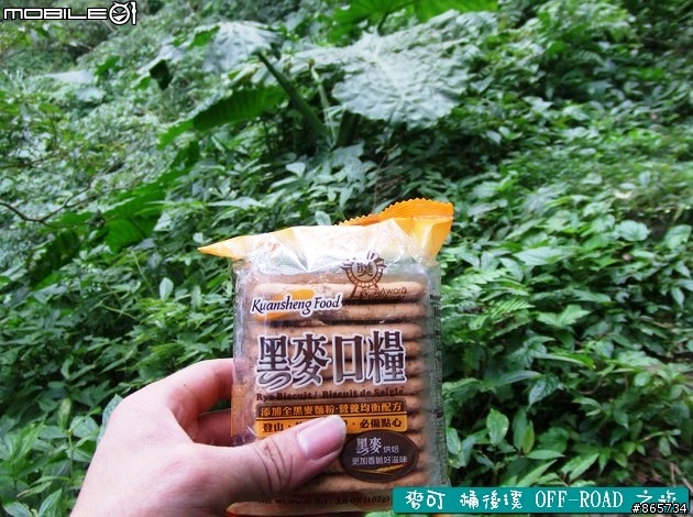 麥可 桶後溪 OFF-ROAD 迷航之旅
