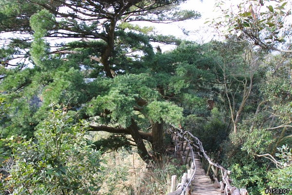 頭嵙山及二嵙山
