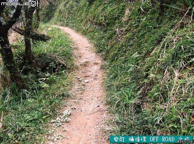 麥可 桶後溪 OFF-ROAD 迷航之旅