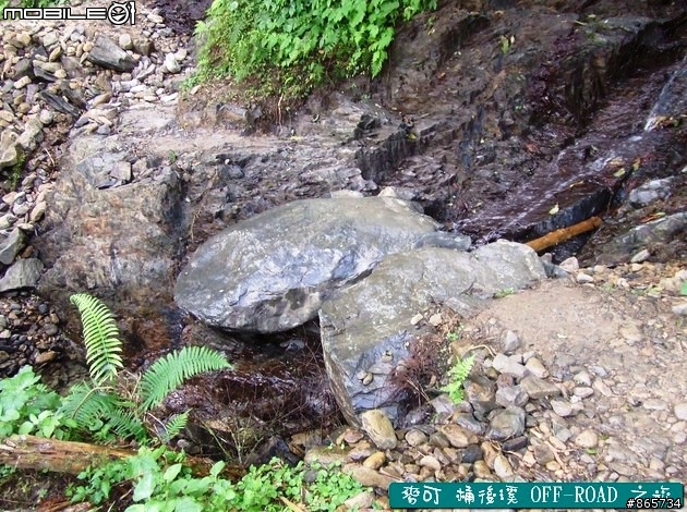 麥可 桶後溪 OFF-ROAD 迷航之旅
