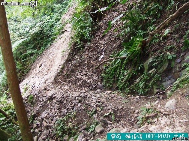 麥可 桶後溪 OFF-ROAD 迷航之旅