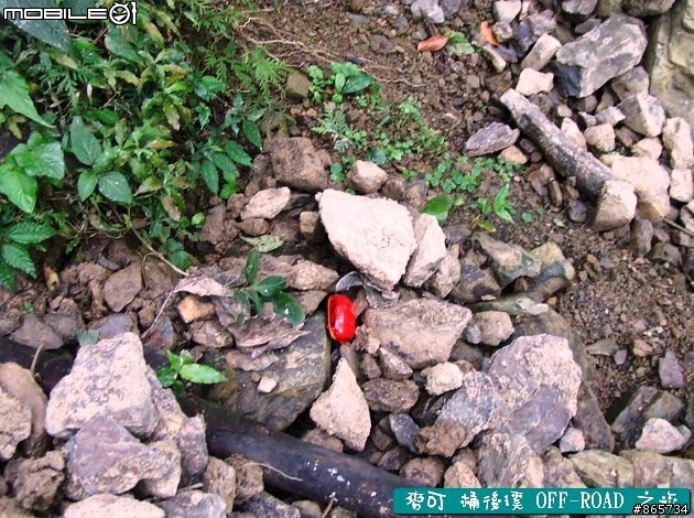 麥可 桶後溪 OFF-ROAD 迷航之旅