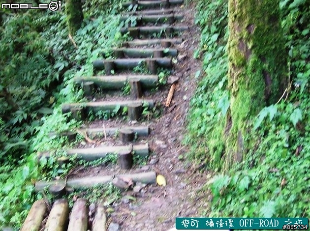 麥可 桶後溪 OFF-ROAD 迷航之旅