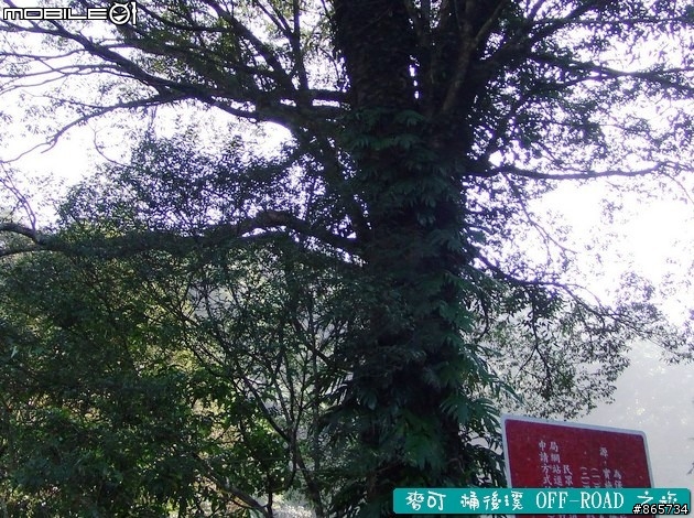麥可 桶後溪 OFF-ROAD 迷航之旅