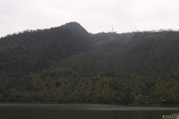 壽豐鯉魚山