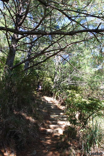 東埔山