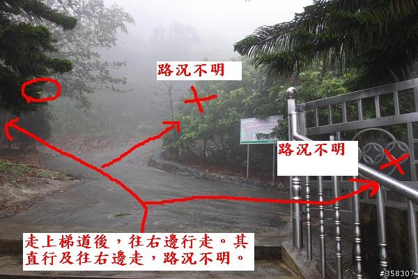 小百岳~大崗山