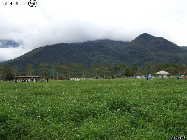 過年環島冒險日記