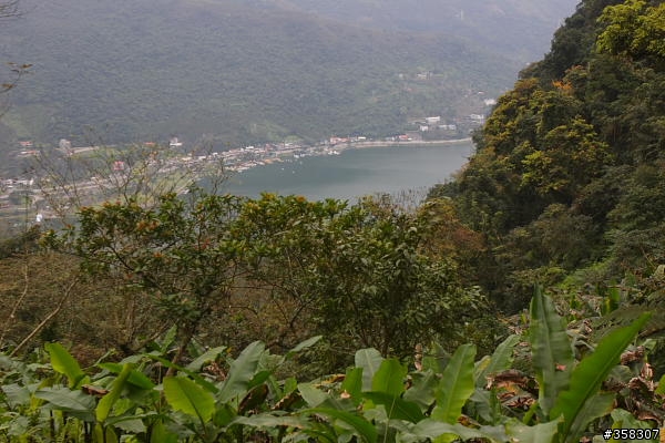 壽豐鯉魚山