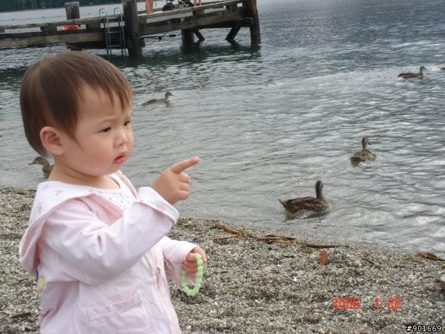 紐西蘭南島12天自由行