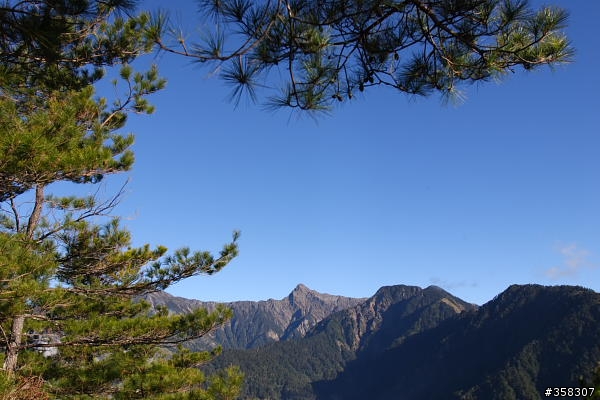 東埔山