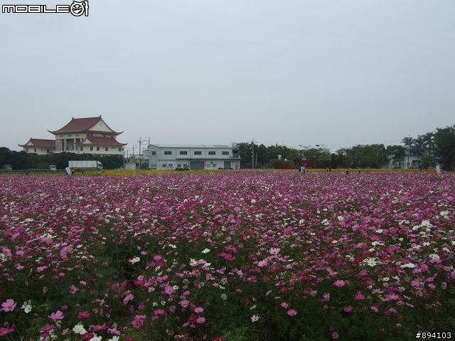 過年環島冒險日記