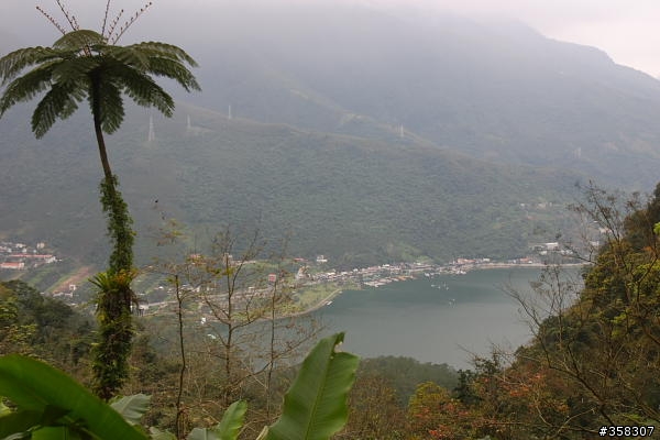 壽豐鯉魚山