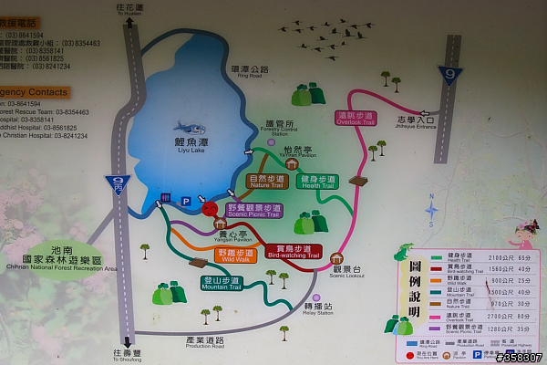 壽豐鯉魚山