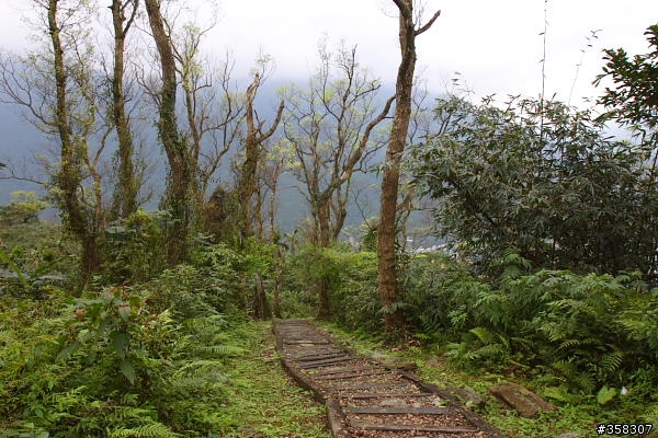 壽豐鯉魚山