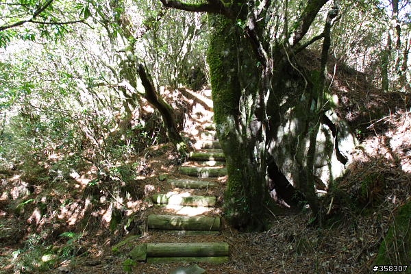 東埔山