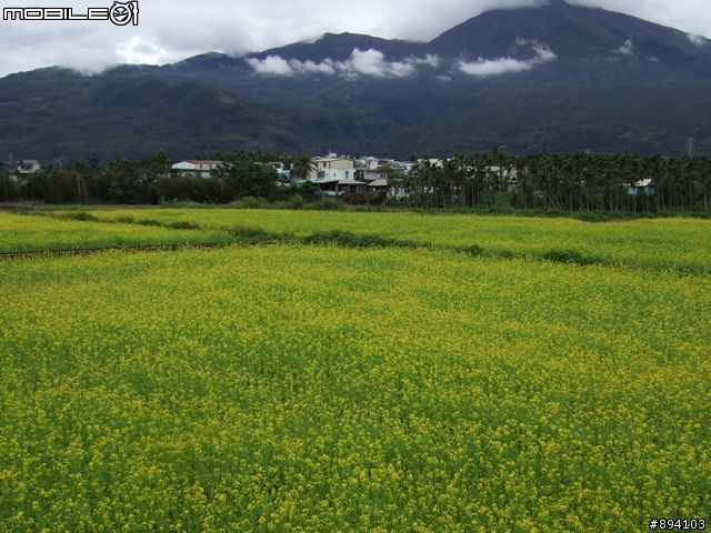 過年環島冒險日記