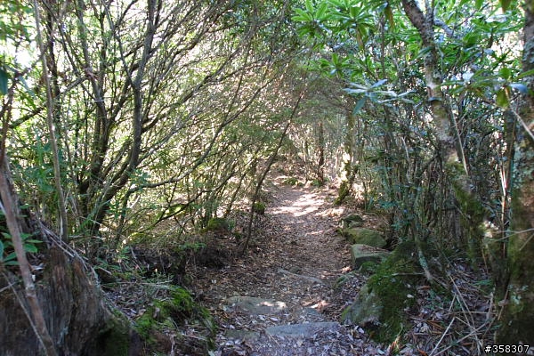 東埔山