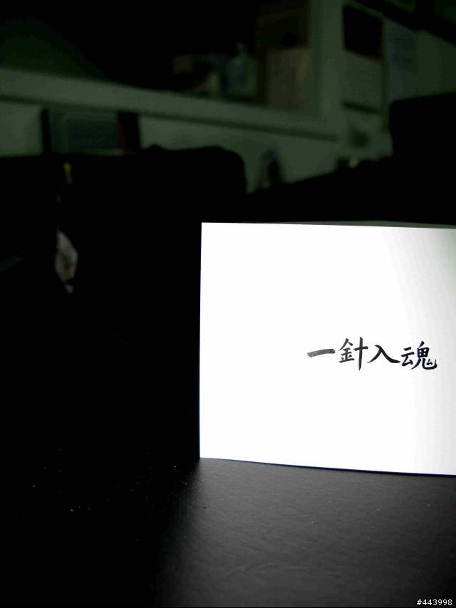 新的一年,PORTER腰包分享之!