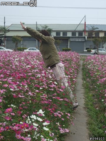 過年環島冒險日記