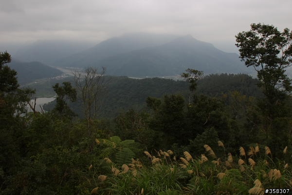 壽豐鯉魚山