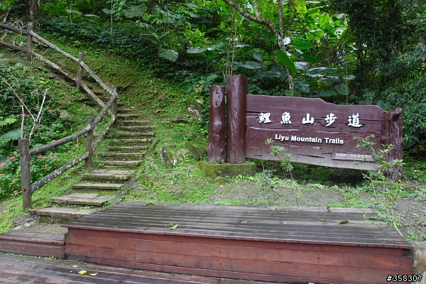 壽豐鯉魚山