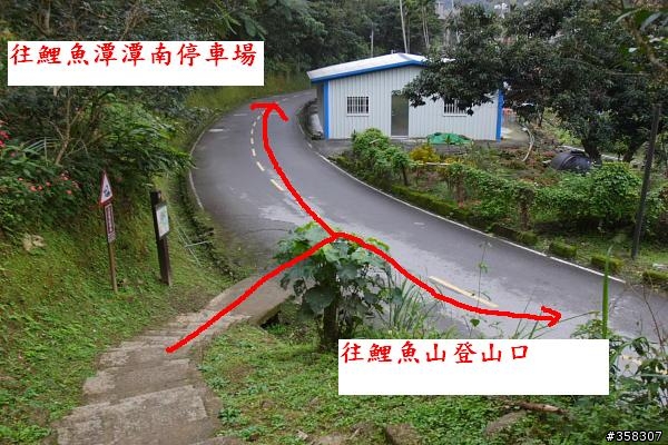 壽豐鯉魚山