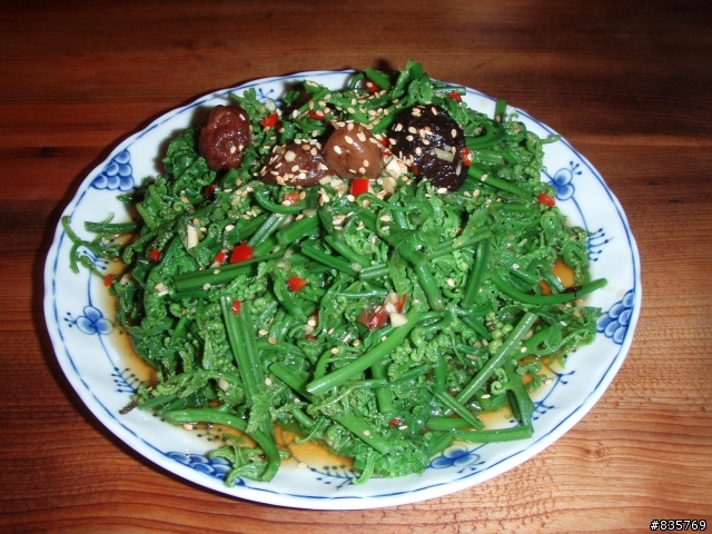 肖仔成員又增加了(南橫+花蓮大暴走)
