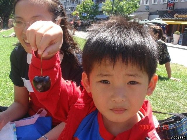 紐西蘭南島12天自由行