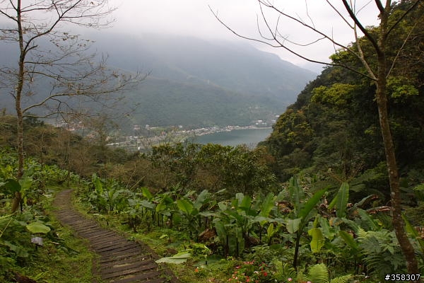 壽豐鯉魚山
