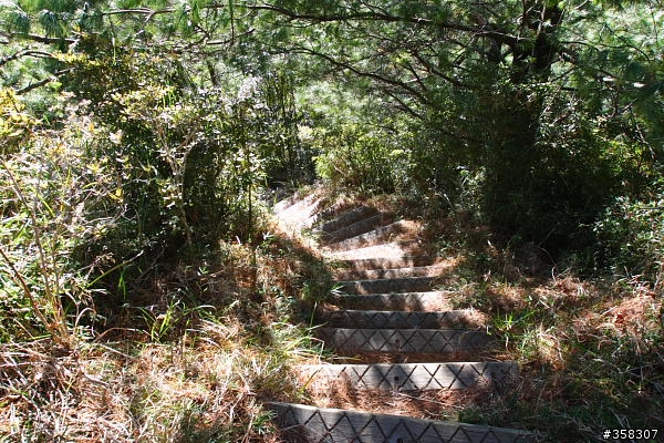 東埔山