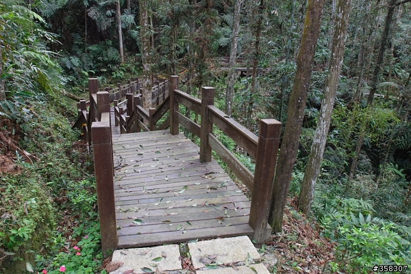 魚池尖登山步道