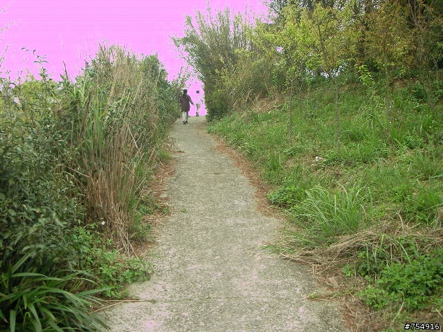 wr5630公路車off road楊梅後山