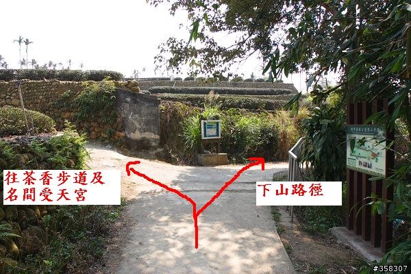 田中:田中森林登山步道