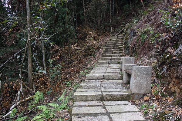 魚池尖登山步道