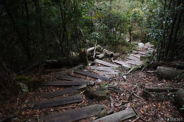 和平:小百岳~稍來山、鳶嘴山、稍來南峰