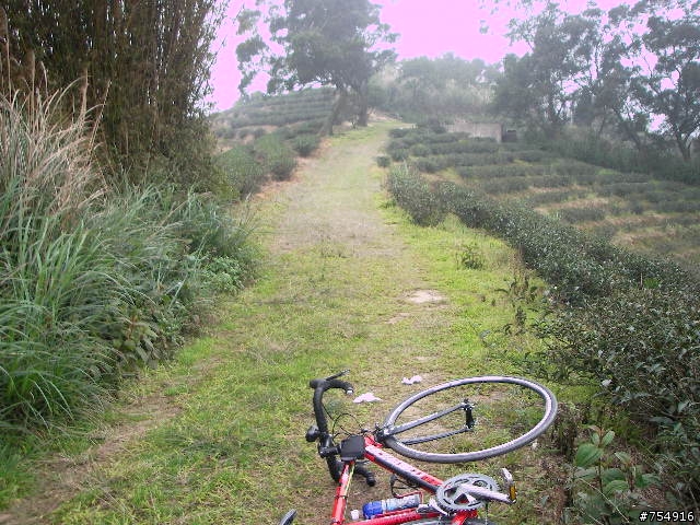 wr5630公路車off road楊梅後山