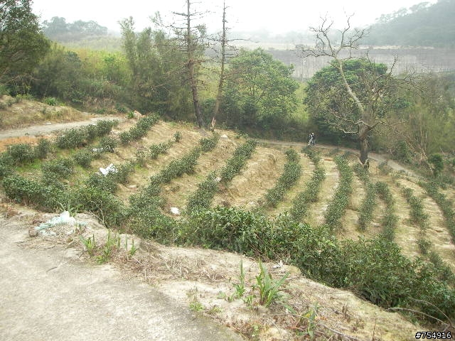 wr5630公路車off road楊梅後山
