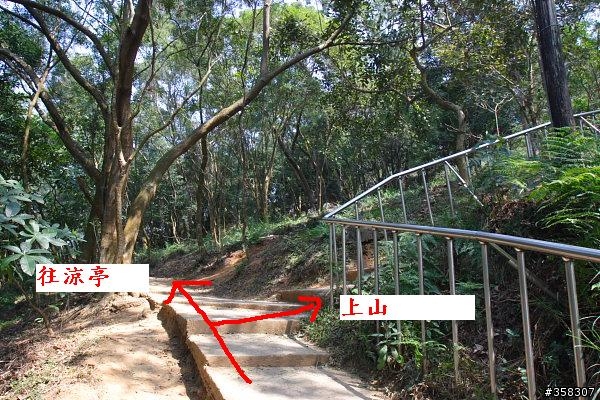 田中:田中森林登山步道