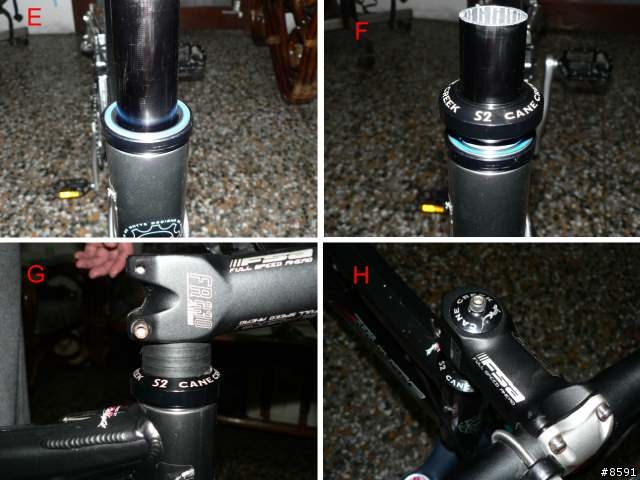 Whyte 46 胎變 + 換骨
