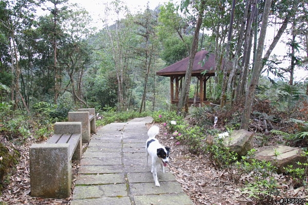 魚池尖登山步道