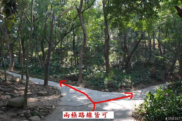 田中:田中森林登山步道
