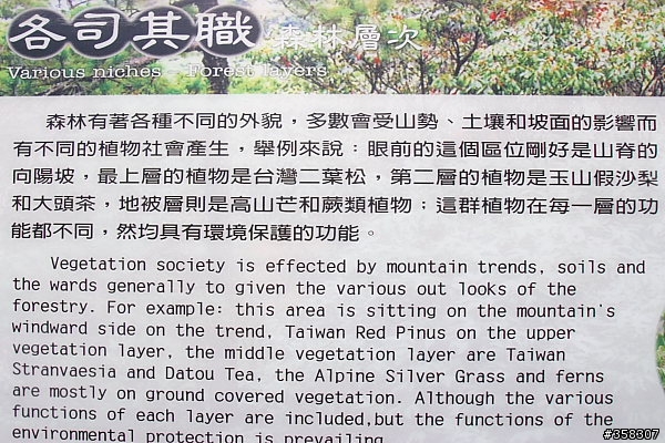 和平:小百岳~稍來山、鳶嘴山、稍來南峰