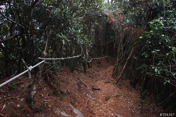 和平:小百岳~稍來山、鳶嘴山、稍來南峰