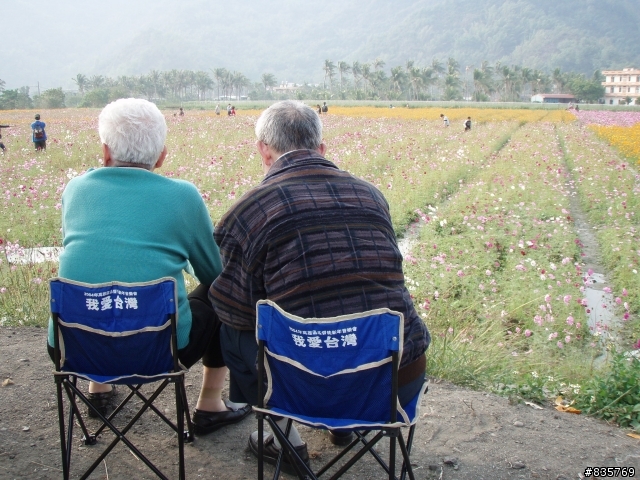 美濃賞花遊記(這次真的讓老菊花開花了)