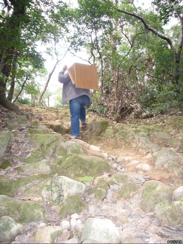 社子島貨車幫之丹鳳山碗型廣場小跳台