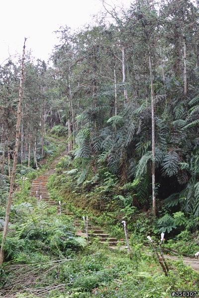 魚池尖登山步道