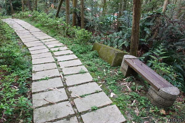 魚池尖登山步道