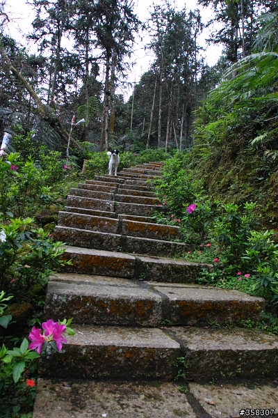 魚池尖登山步道